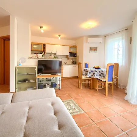 Apartment Camellia Vantacici