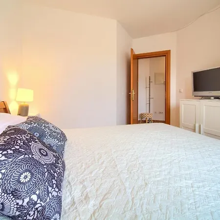 Camellia ヴァンタシチ