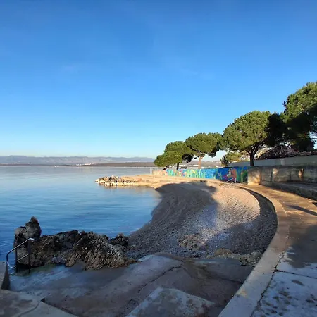 Camellia * ヴァンタシチ