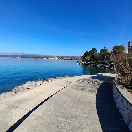 Camellia アパート