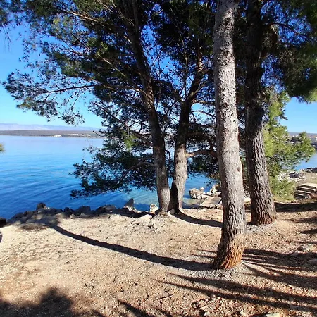 アパート Camellia