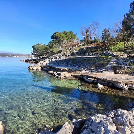 Camellia アパート *